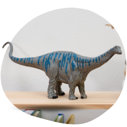 Dinosaur shop